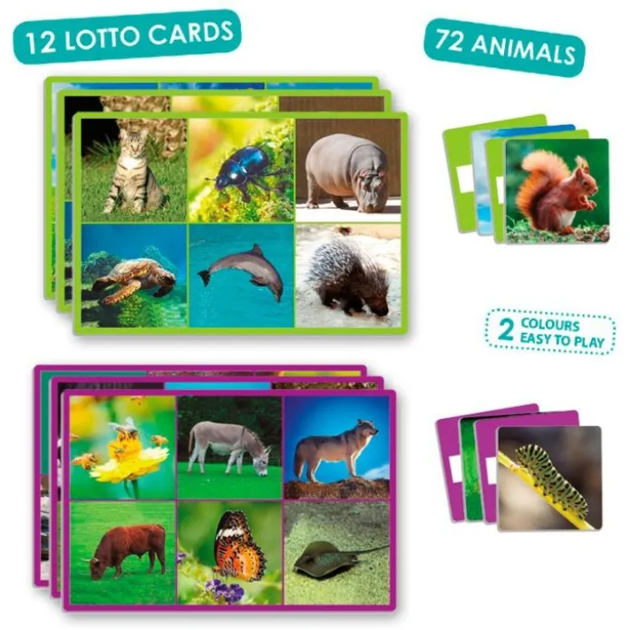 Loto 72 animales con imágenes y nombres en idiomas - Akros