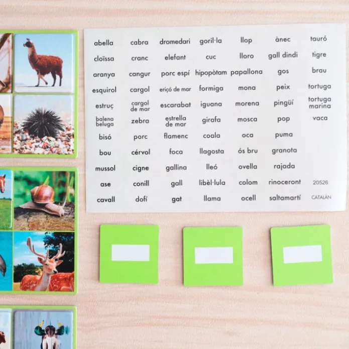 Loto 72 animales con imágenes y nombres en idiomas - Akros