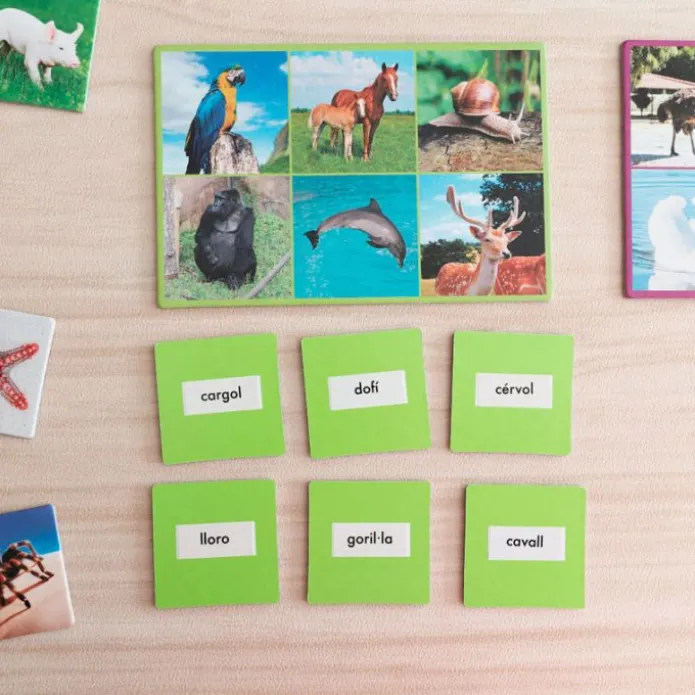 Loto 72 animales con imágenes y nombres en idiomas - Akros