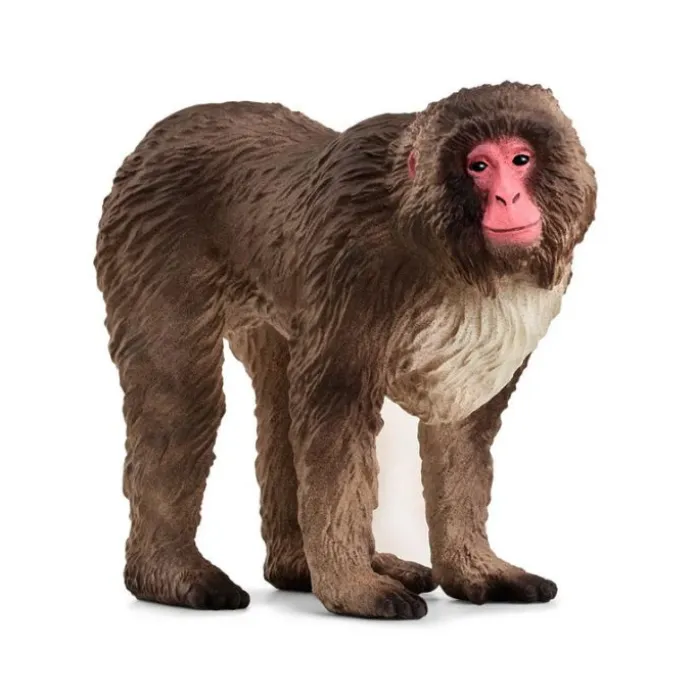 Macaco japonés - Schleich