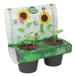 Maceteros y semillas de girasol (2) - Green Warriors