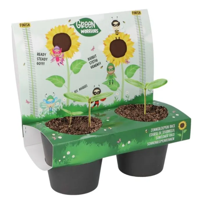 Maceteros y semillas de girasol (2) - Green Warriors