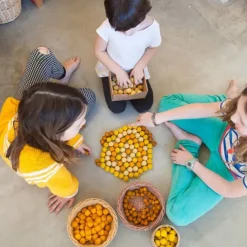 Mandala panales con 36 panales de abeja de madera colores amarillos - Grapat