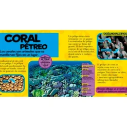 Mi primer gran libro del océano - National Geographic Kids