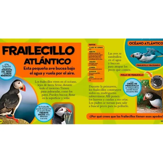 Mi primer gran libro del océano - National Geographic Kids