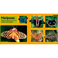 Mi primer gran libro de los animales - National Geographic Kids