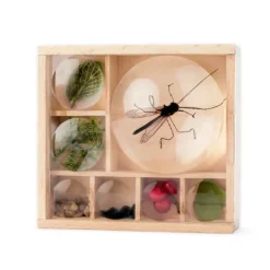 Museo de madera de bolsillo con lupas - Huckleberry Kikkerland