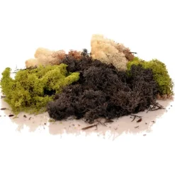 Musgo natural seco verde y marrón 150 g - Playlearn
