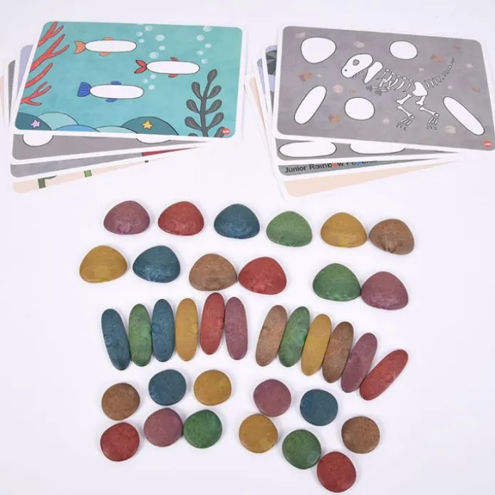 Piedras ecológicas de colores con 8 tarjetas (36) - EDX Education