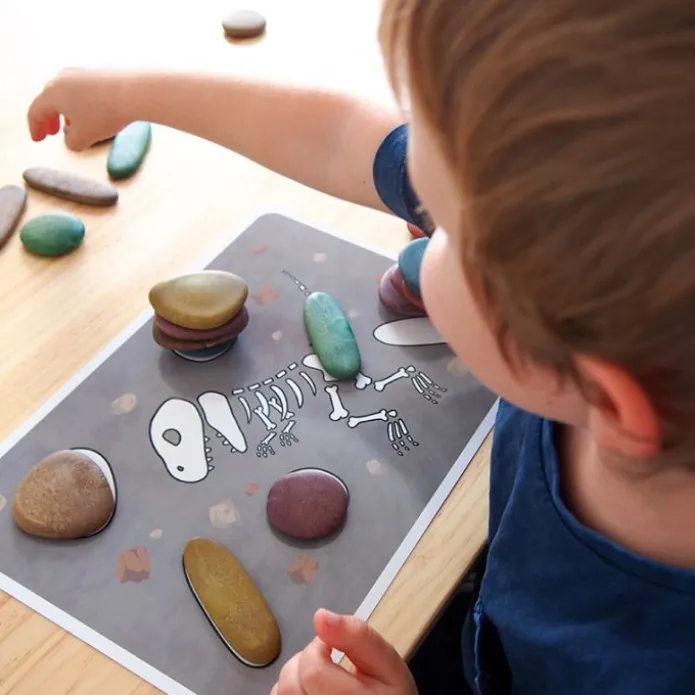Piedras ecológicas de colores con 8 tarjetas (36) - EDX Education