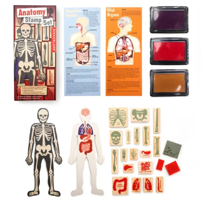 Plantilla cuerpo humano y sellos órganos y huesos - Kikkerland