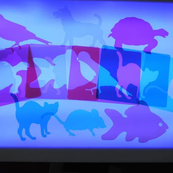 Plantillas translúcidas animales mascotas Light & Learn - HenBea