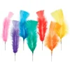 Pluma grande 18 cm