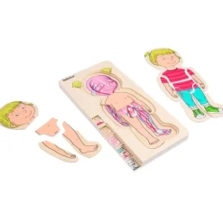 Puzle de madera anatomía femenina 5 en 1 - Beleduc