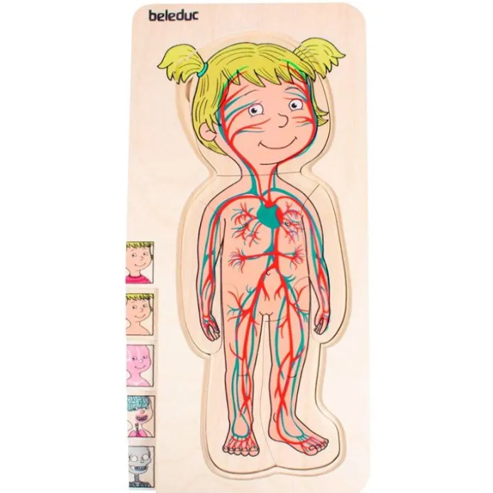 Puzle de madera anatomía femenina 5 en 1 - Beleduc