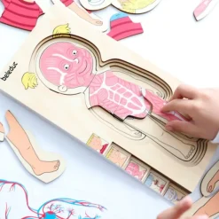 Puzle de madera anatomía femenina 5 en 1 - Beleduc