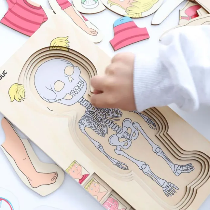Puzle de madera anatomía femenina 5 en 1 - Beleduc