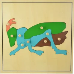 Puzle de madera grillo - Montessori