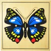 Puzle de madera mariposa - Montessori