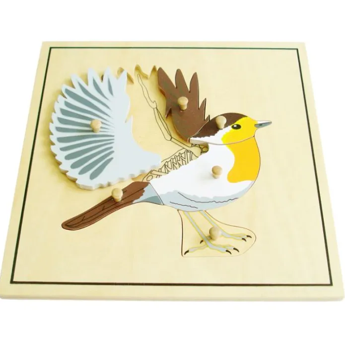 Puzle de madera pájaro esqueleto - Montessori
