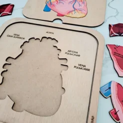 Puzle encajable de madera corazón cuerpo humano 6 piezas - Mameduka