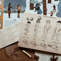 Puzle encajable de madera Evolución Humana - Ösbru