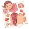 Puzle encajable de madera órganos cuerpo humano y tarjetas didácticas - Ösbru