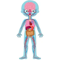 Puzles cuerpo humano 225 piezas - Janod