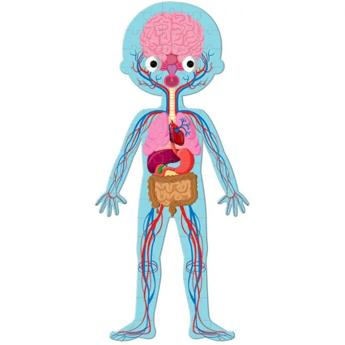 Puzles cuerpo humano 225 piezas - Janod