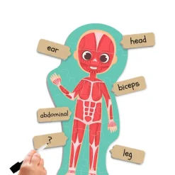 Set de 6 maxi puzles siluetas Descubre e identifica el cuerpo humano - Akros