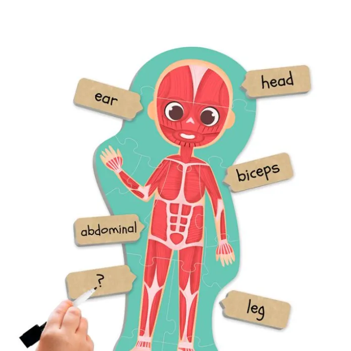 Set de 6 maxi puzles siluetas Descubre e identifica el cuerpo humano - Akros