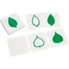 Tarjetas de hojas para el gabinete botánico de 24 inserciones - Montessori