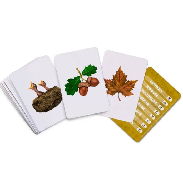 Tarjetas 8 idiomas Mis primeras palabras multilingües: naturaleza (32) - Emeteca Kids
