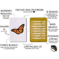 Tarjetas 8 idiomas Mis primeras palabras multilingües: naturaleza (32) - Emeteca Kids