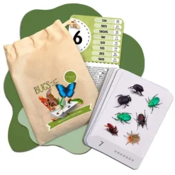 Tarjetas 8 idiomas Primeros números: Insectos y otros seres diminutos (30) - Emeteca Kids