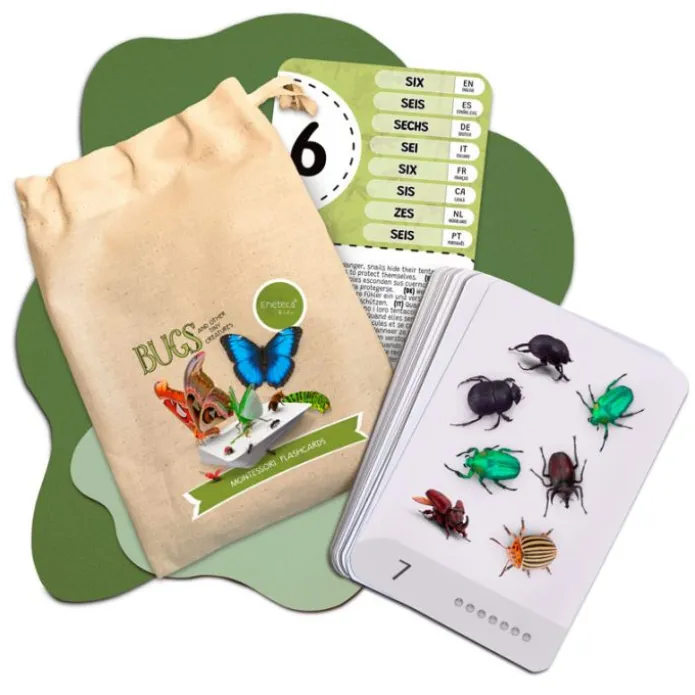 Tarjetas 8 idiomas Primeros números: Insectos y otros seres diminutos (30) - Emeteca Kids