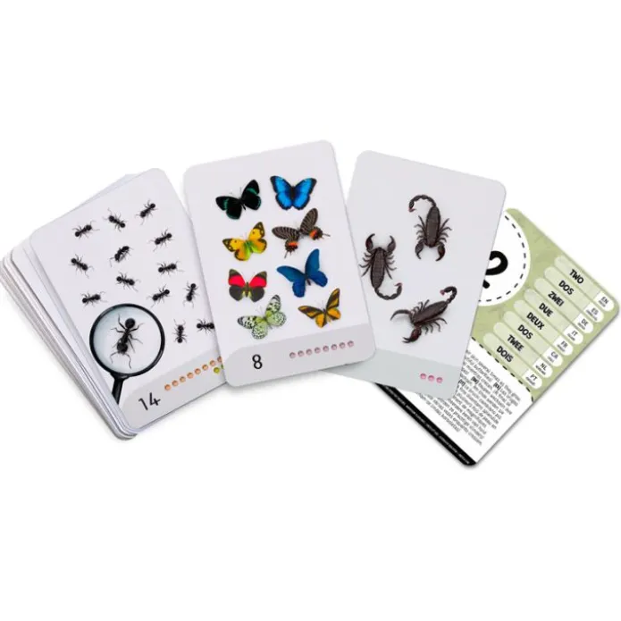 Tarjetas 8 idiomas Primeros números: Insectos y otros seres diminutos (30) - Emeteca Kids