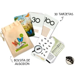 Tarjetas 8 idiomas Primeros números: Insectos y otros seres diminutos (30) - Emeteca Kids