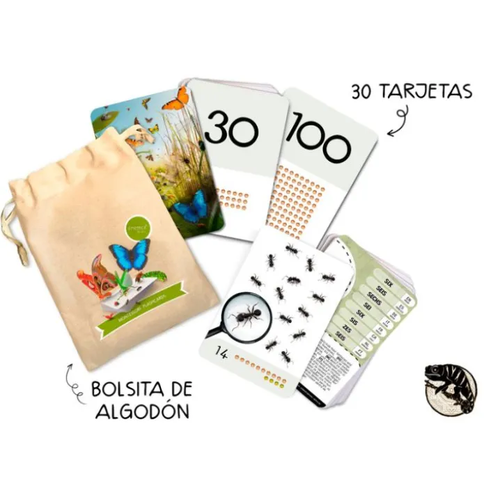 Tarjetas 8 idiomas Primeros números: Insectos y otros seres diminutos (30) - Emeteca Kids