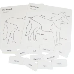 Tarjetas para puzles de animales con caja de madera - Montessori