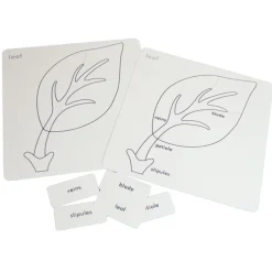 Tarjetas para puzles de botánica con caja de madera - Montessori