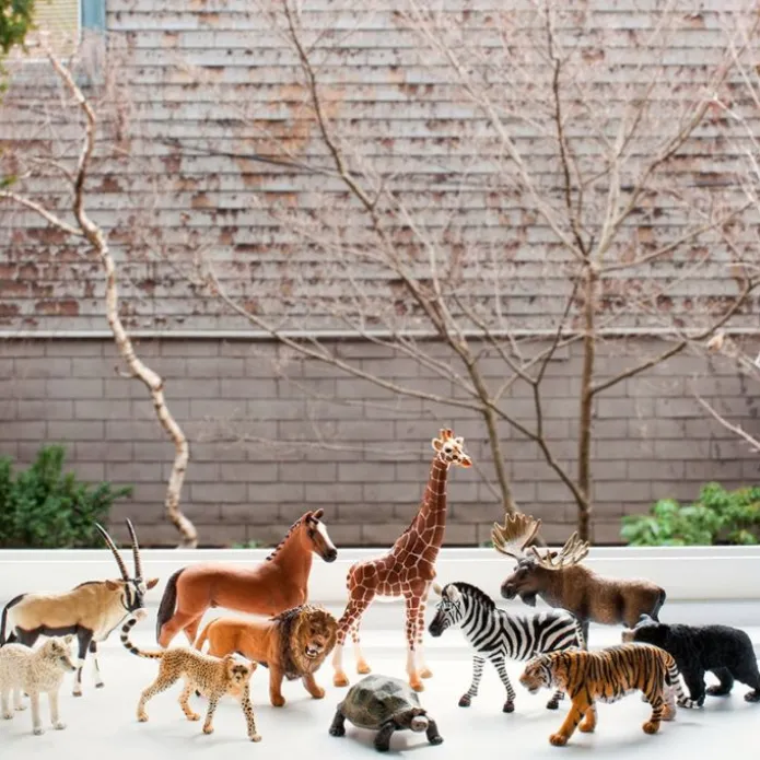 Tigre - Schleich