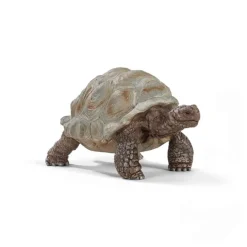 Tortuga - Schleich