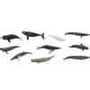 Tubo 10 piezas ballenas - Safari