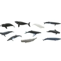 Tubo 10 piezas ballenas - Safari