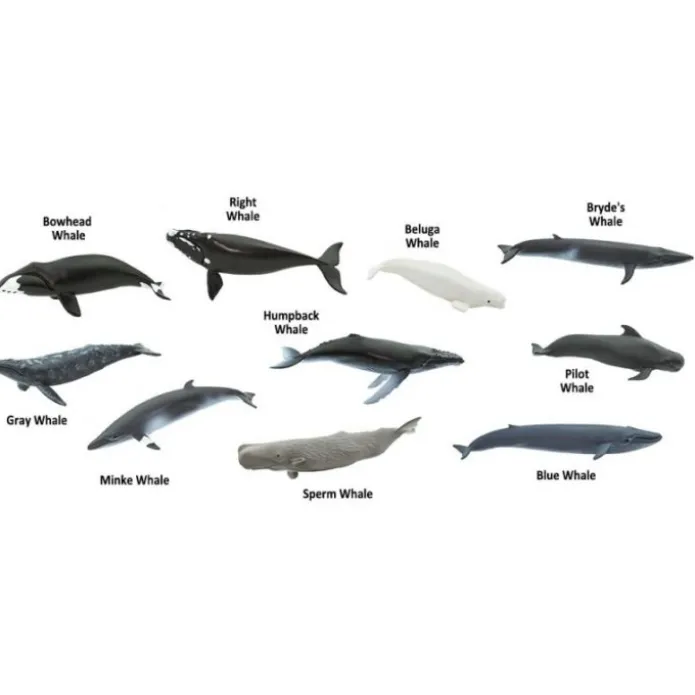 Tubo 10 piezas ballenas - Safari