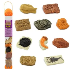 Tubo 10 piezas fósiles antiguos - Safari